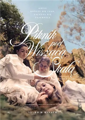 Spotkania Filmowe: Piknik pod Wiszącą Skałą - napisy