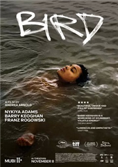Spotkania Filmowe: Bird - napisy